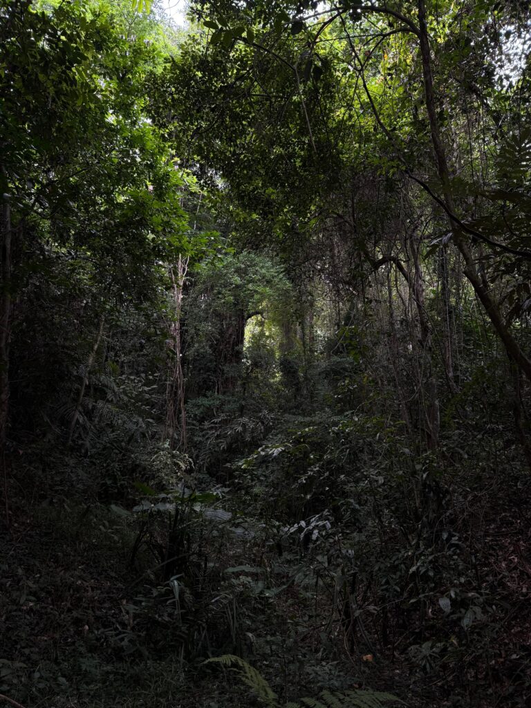 WhatsApp Image 2025-09-21 at 14.39.42_b579b6c3